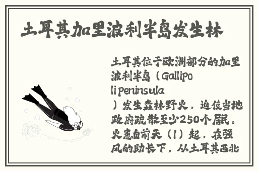 九幺1.0.31版本视频